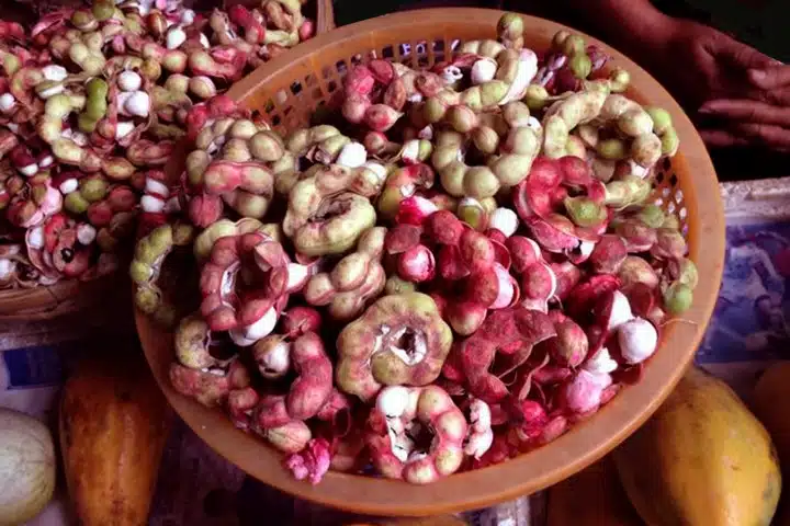 fruits of mexico