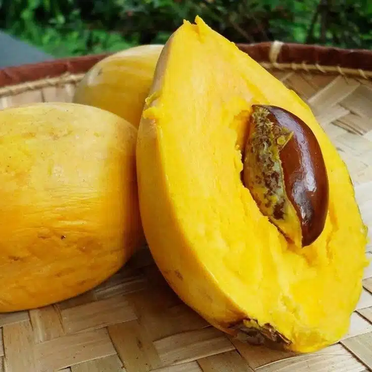 fruits of mexico