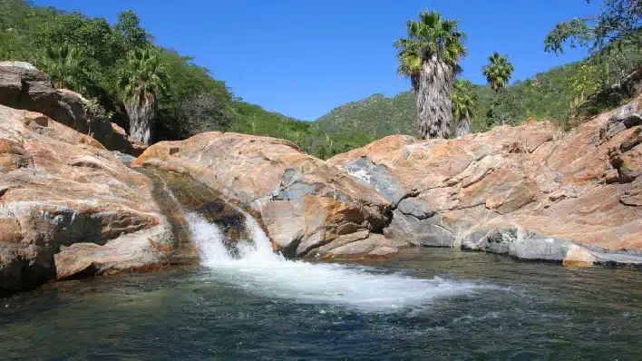 sierra de la laguna todos santos
