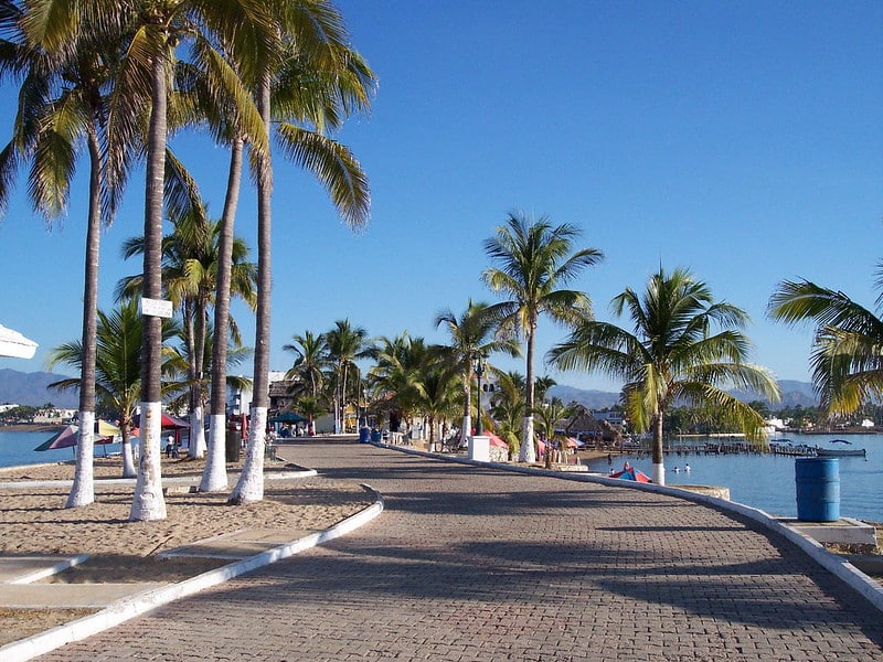 barra de navidad mexico