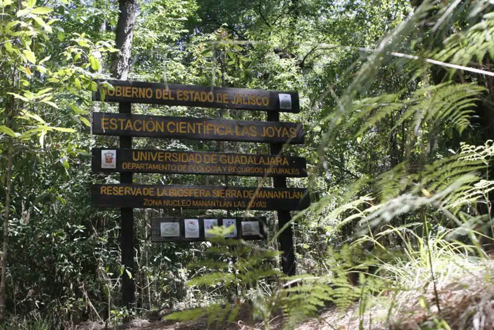 colima mexico