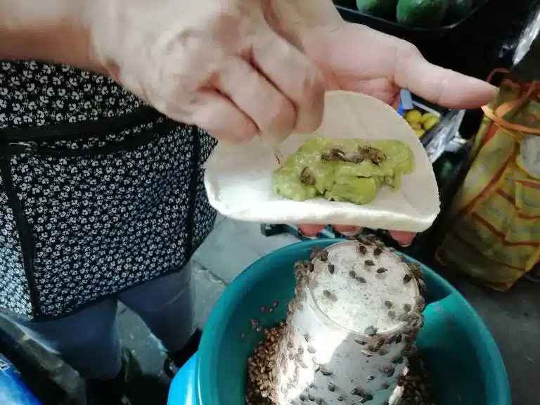mexico travel and leisure