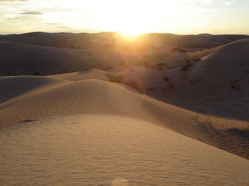 Samalayuca Dune Fields: A Mysterious Paradise in the Desert | Mexico ...